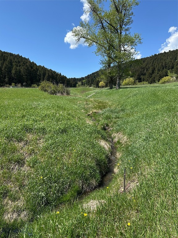 373 Rockhill Road, Bozeman MT 59715