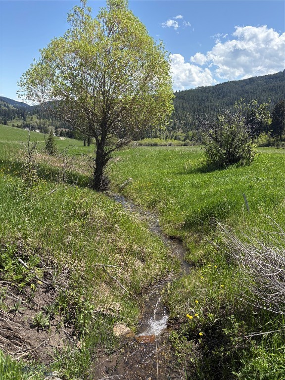 373 Rockhill Road, Bozeman MT 59715