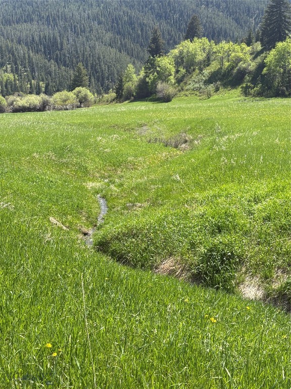 373 Rockhill Road, Bozeman MT 59715