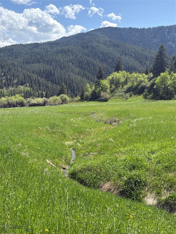 373 Rockhill Road, Bozeman MT 59715