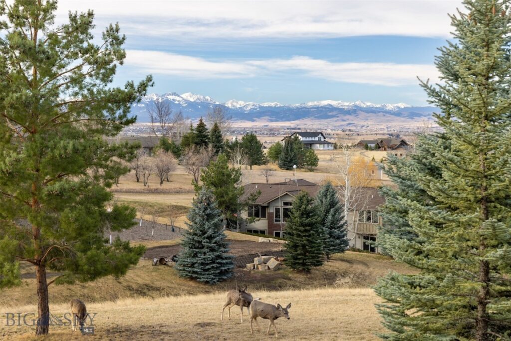 375 Summer Ridge Road, Bozeman MT 59715