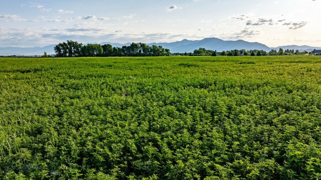 3849 Staffanson Road, Bozeman MT 59718