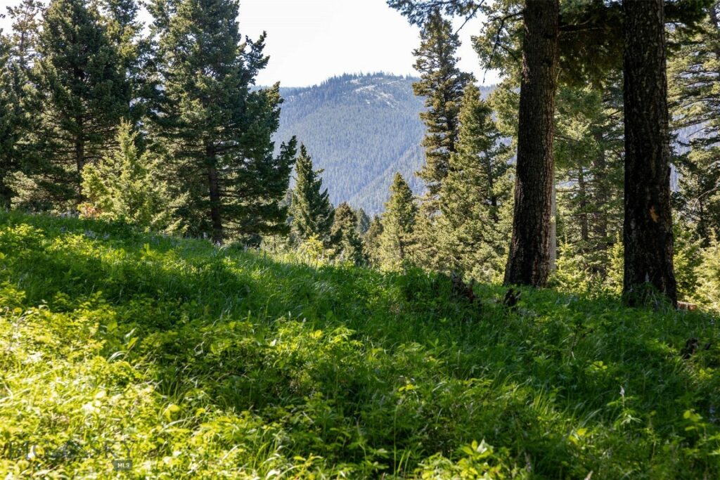 3900 Cottonwood Ranch Trail, Bozeman MT 59718