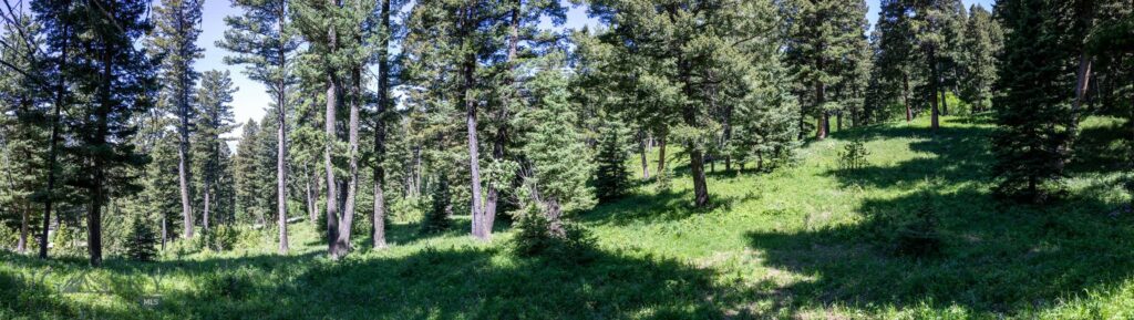 3900 Cottonwood Ranch Trail, Bozeman MT 59718