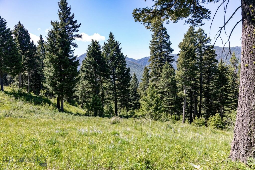 3900 Cottonwood Ranch Trail, Bozeman MT 59718