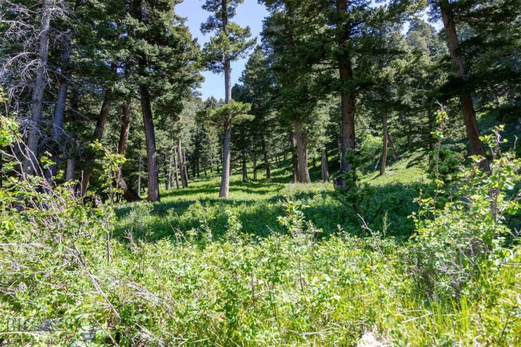 3900 Cottonwood Ranch Trail, Bozeman MT 59718
