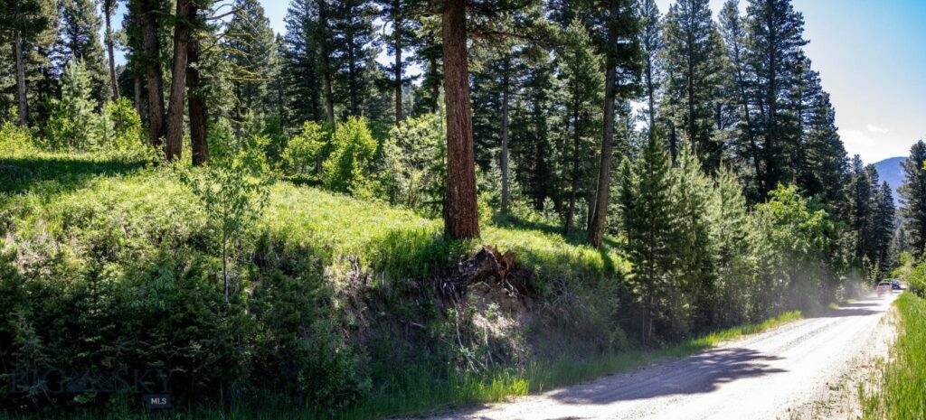 3900 Cottonwood Ranch Trail, Bozeman MT 59718