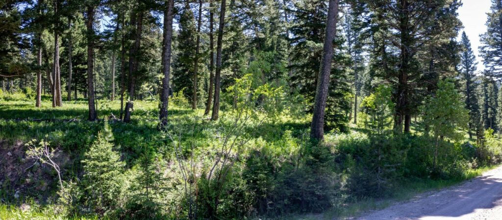 3900 Cottonwood Ranch Trail, Bozeman MT 59718