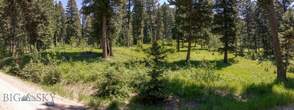 3900 Cottonwood Ranch Trail, Bozeman MT 59718