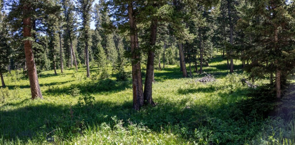 3900 Cottonwood Ranch Trail, Bozeman MT 59718