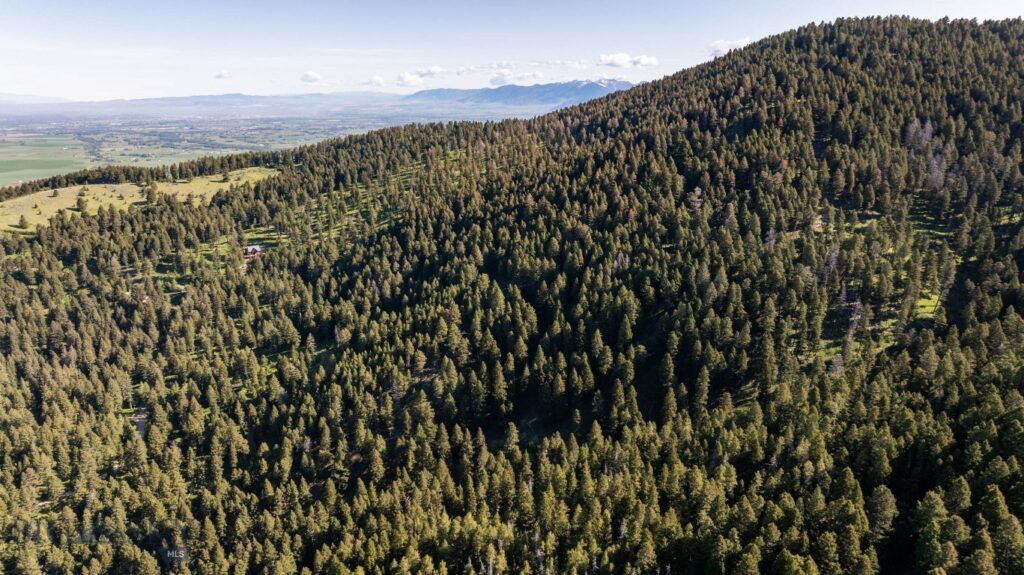 3900 Cottonwood Ranch Trail, Bozeman MT 59718