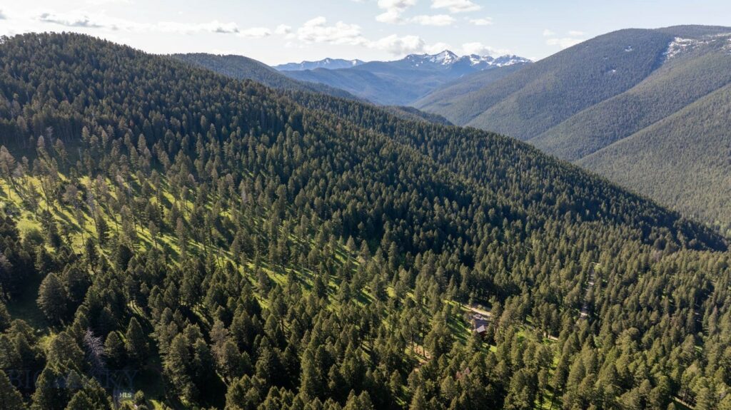 3900 Cottonwood Ranch Trail, Bozeman MT 59718