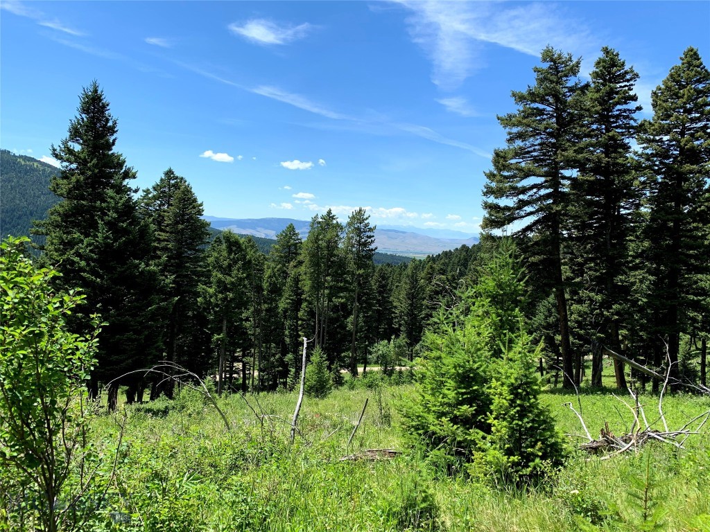 3900 Cottonwood Ranch Trail, Bozeman MT 59718
