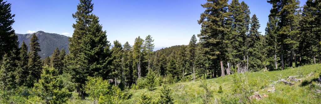 3900 Cottonwood Ranch Trail, Bozeman MT 59718