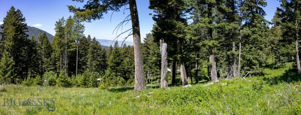 3900 Cottonwood Ranch Trail, Bozeman MT 59718