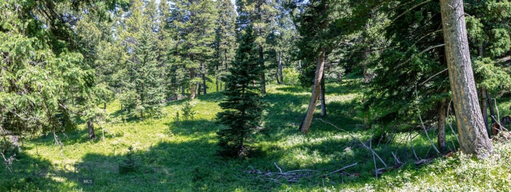3900 Cottonwood Ranch Trail, Bozeman MT 59718