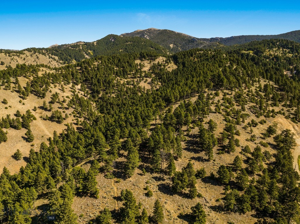 405 Resolute Ridge Road, Bozeman MT 59715