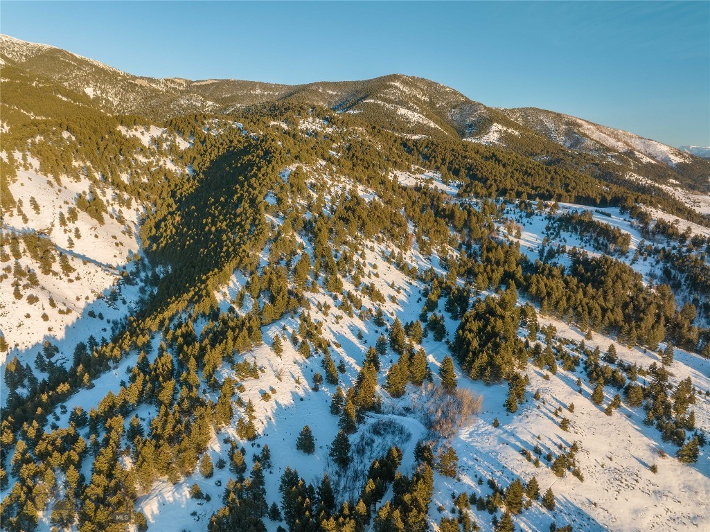 405 Resolute Ridge Road, Bozeman MT 59715