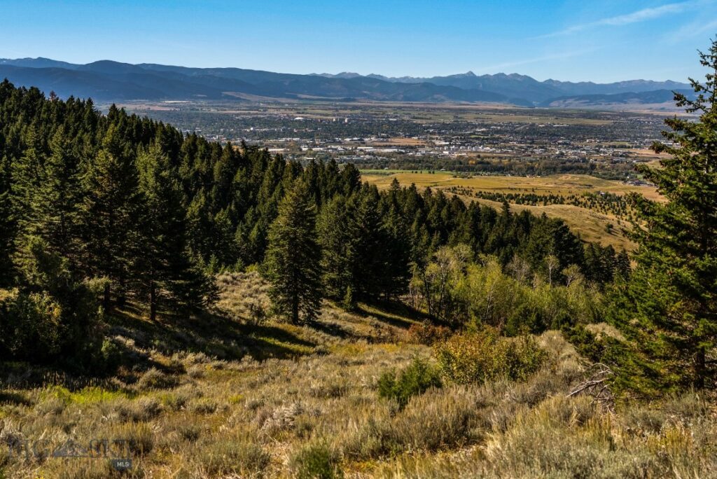 405 Resolute Ridge Road, Bozeman MT 59715