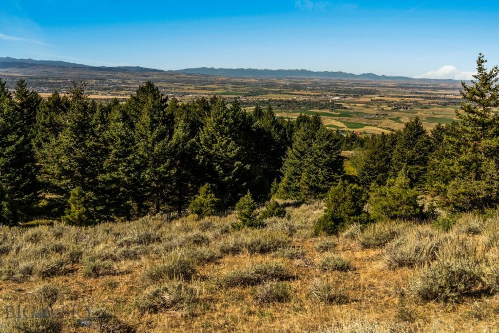 405 Resolute Ridge Road, Bozeman MT 59715