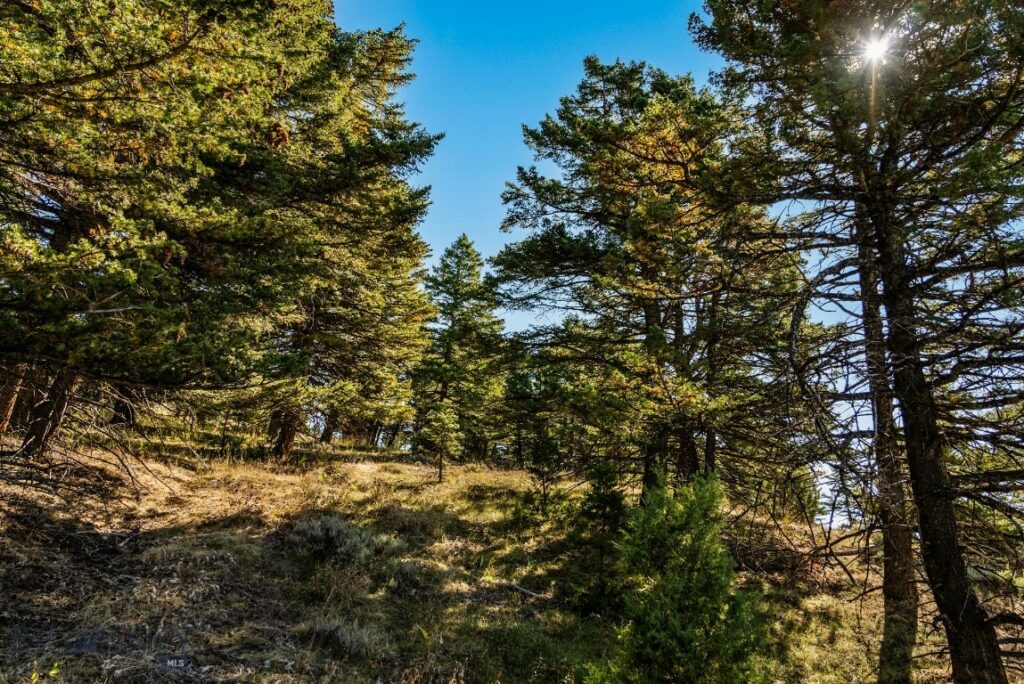 405 Resolute Ridge Road, Bozeman MT 59715