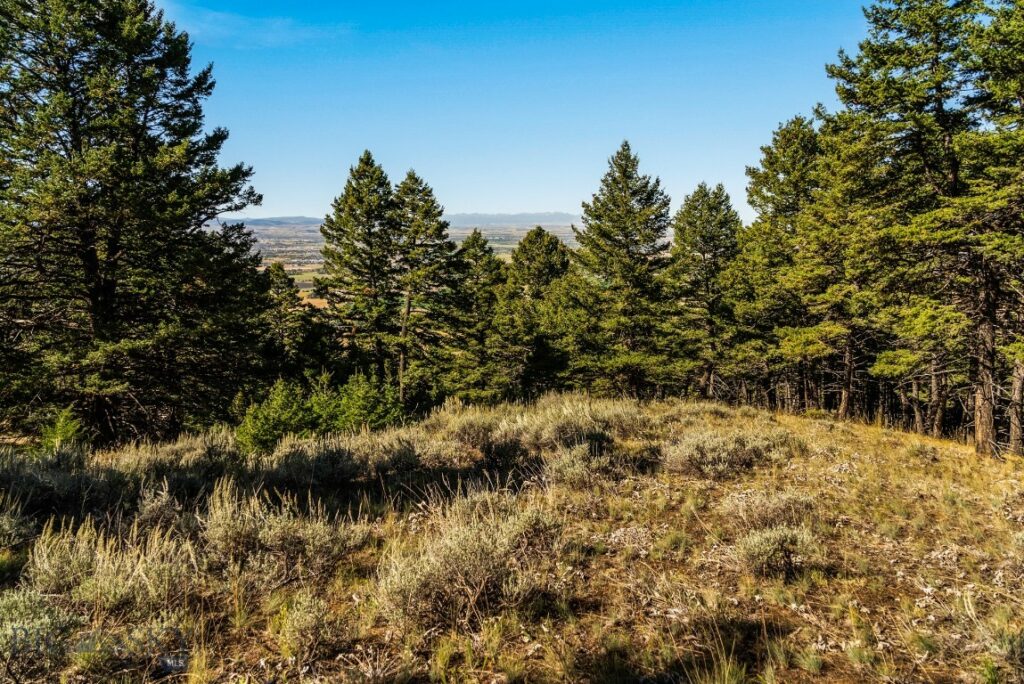 405 Resolute Ridge Road, Bozeman MT 59715