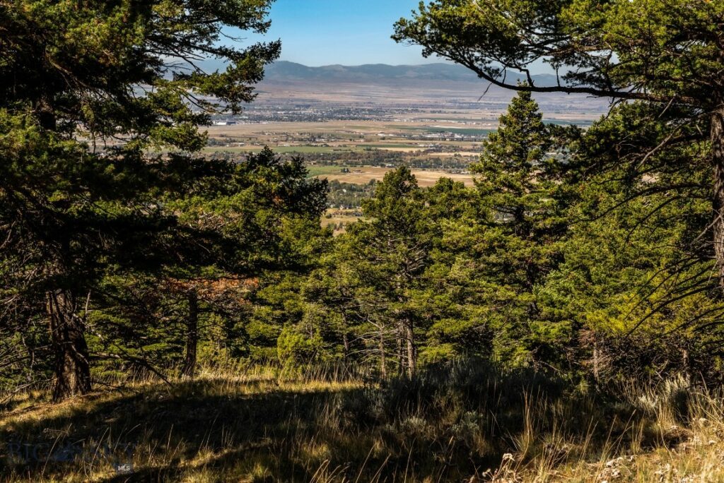 405 Resolute Ridge Road, Bozeman MT 59715