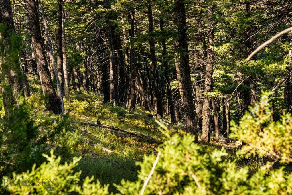 405 Resolute Ridge Road, Bozeman MT 59715