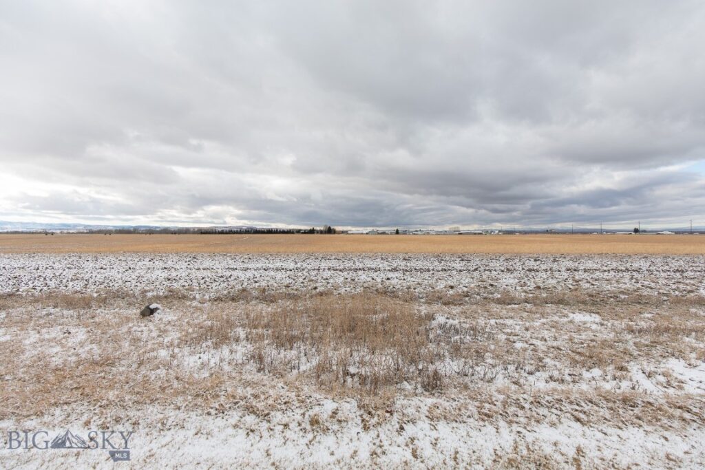 41 Lion Peak Drive, Bozeman MT 59718