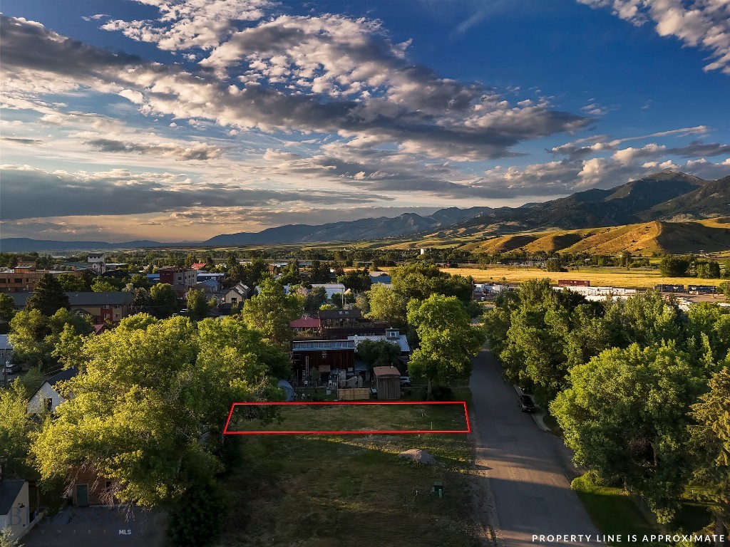 411 N Plum, Bozeman MT 59715