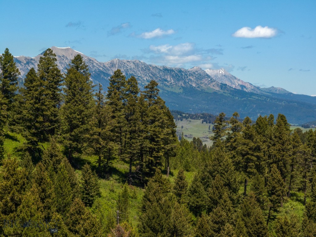 420 Colt Road, Bozeman MT 59715