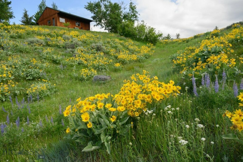 8906 Gold Dust Trail, Bozeman MT 59715