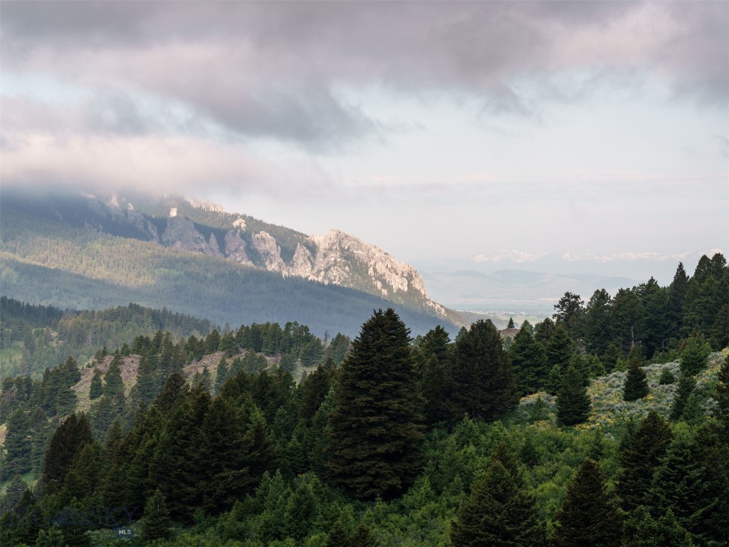 449 Minni Hall Road, Bozeman MT 59715