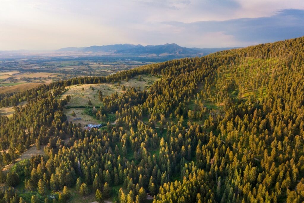 4535 Cottonwood Ranch Trail, Bozeman MT 59718