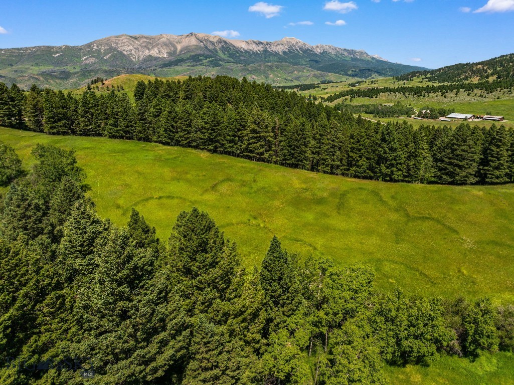 4861 Jackson Creek Road, Bozeman MT 59715