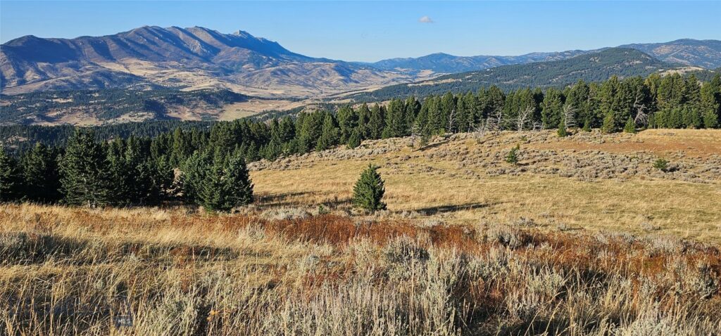 495 Moffit Gulch Road, Bozeman MT 59715