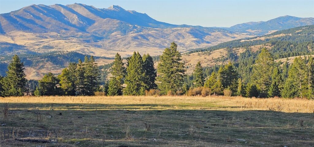 495 Moffit Gulch Road, Bozeman MT 59715