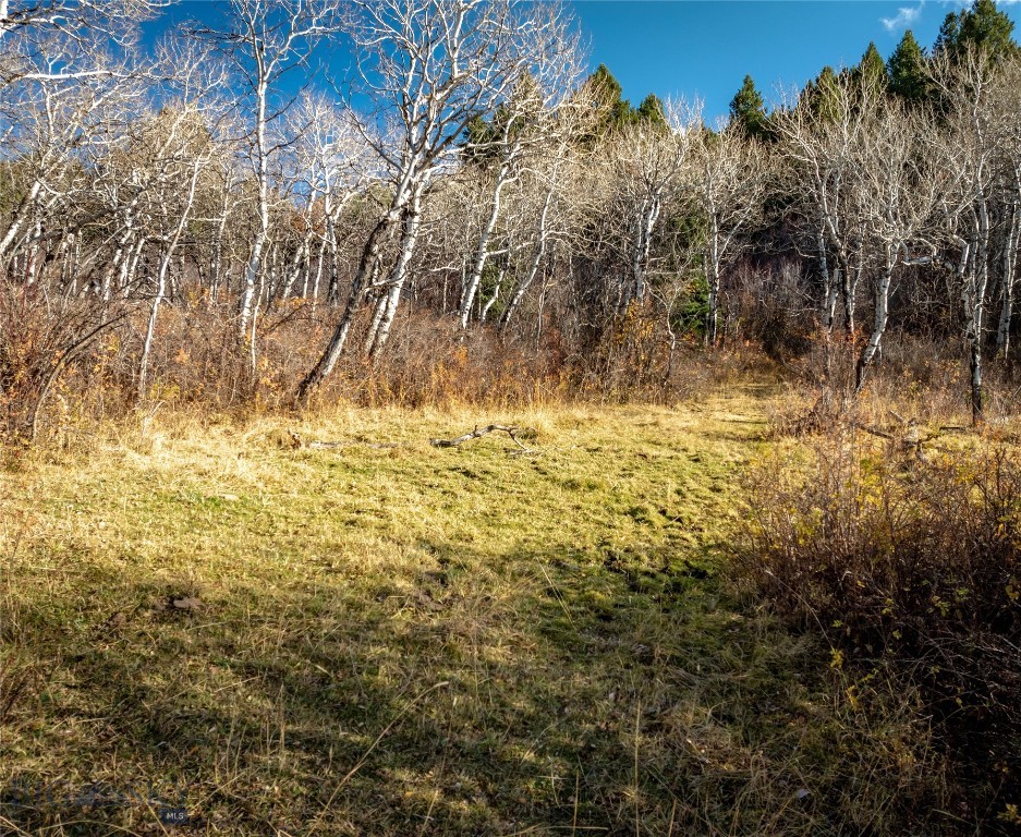 495 Moffit Gulch Road, Bozeman MT 59715