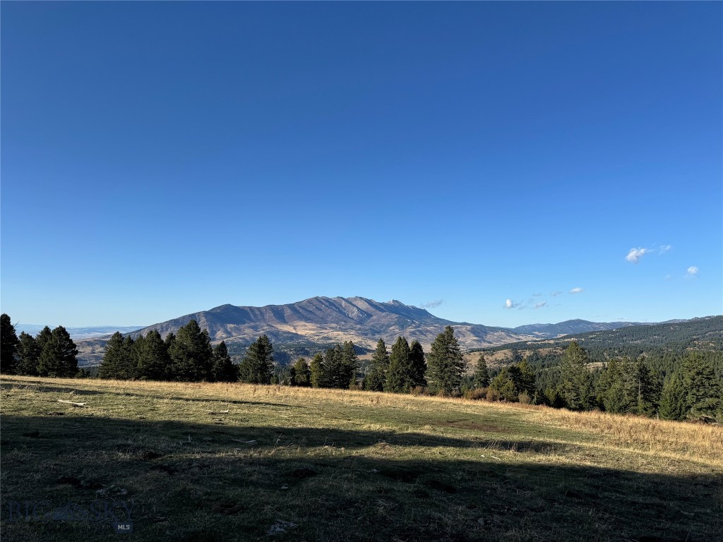 495 Moffit Gulch Road, Bozeman MT 59715