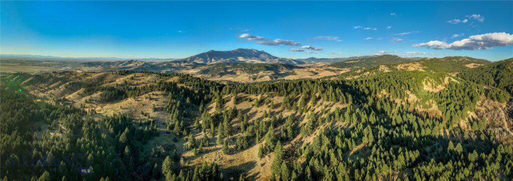 495 Moffit Gulch Road, Bozeman MT 59715