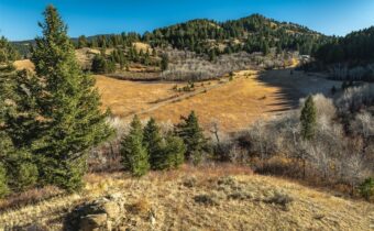 495 Moffit Gulch Road, Bozeman MT 59715