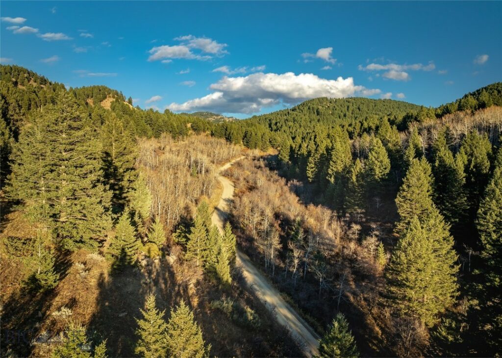 495 Moffit Gulch Road, Bozeman MT 59715