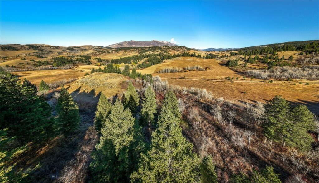 495 Moffit Gulch Road, Bozeman MT 59715