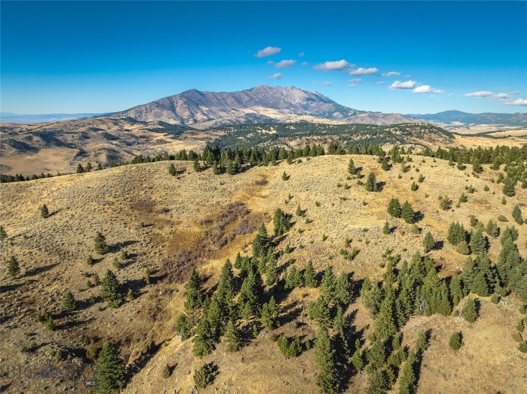 495 Moffit Gulch Road, Bozeman MT 59715