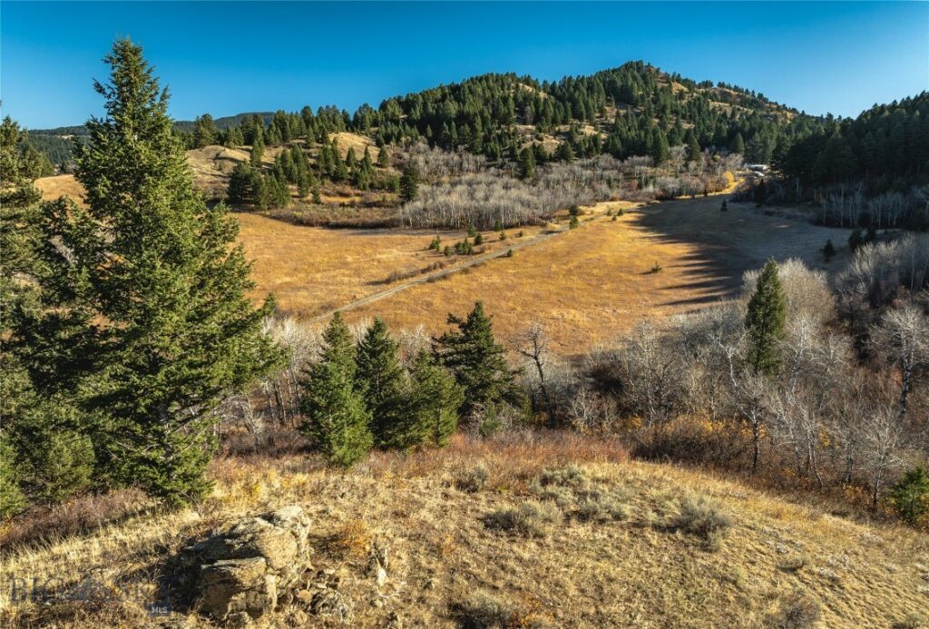 495 Moffit Gulch Road, Bozeman MT 59715