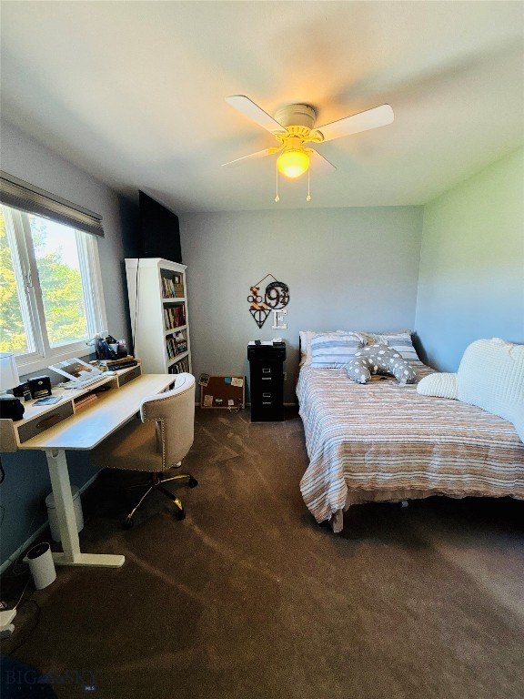 5 Annette Park Drive, Bozeman MT 59715