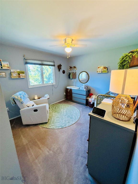 5 Annette Park Drive, Bozeman MT 59715