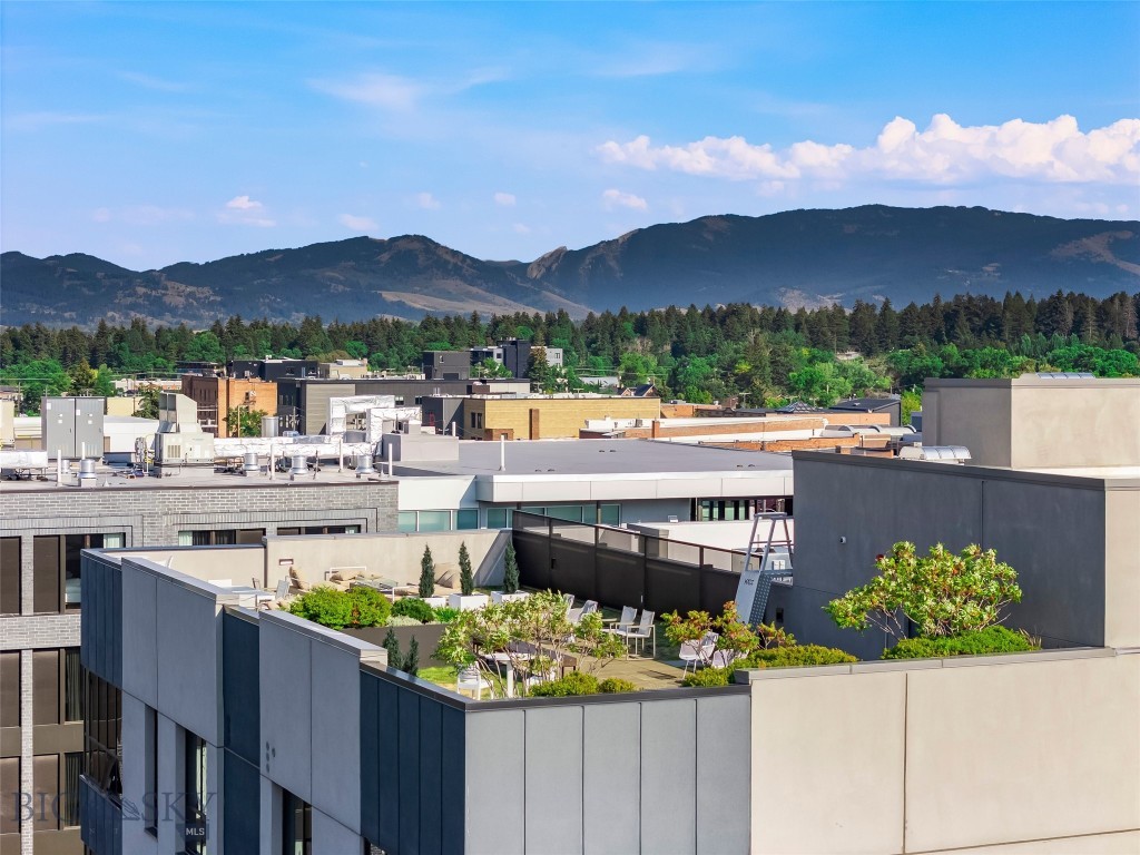 5 W Mendenhall, Bozeman MT 59715