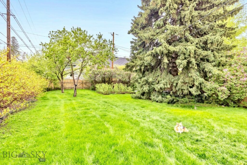 503 W College Street, Bozeman MT 59715