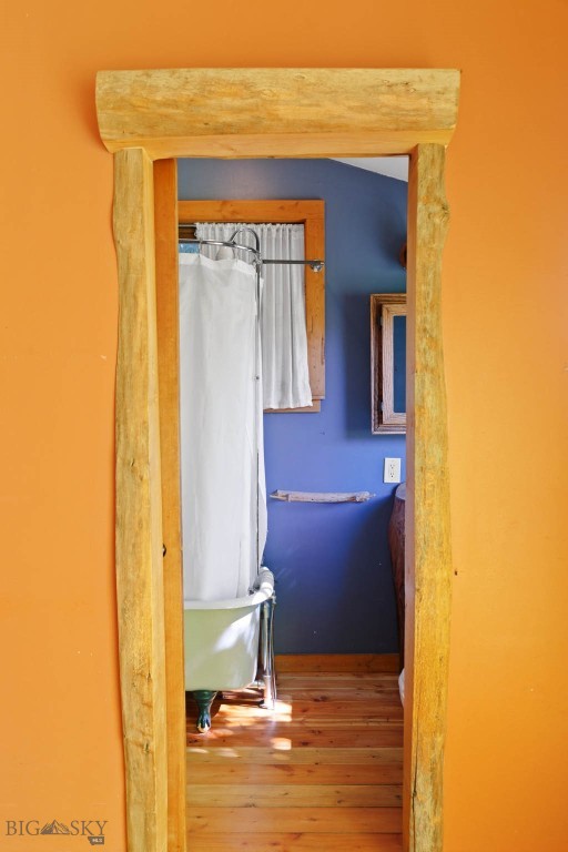 513 N Plum Street, Bozeman MT 59715